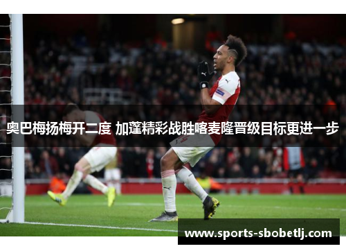奥巴梅扬梅开二度 加蓬精彩战胜喀麦隆晋级目标更进一步