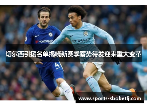 切尔西引援名单揭晓新赛季蓄势待发迎来重大变革
