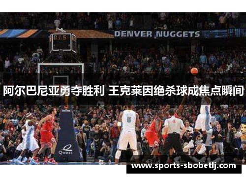 阿尔巴尼亚勇夺胜利 王克莱因绝杀球成焦点瞬间