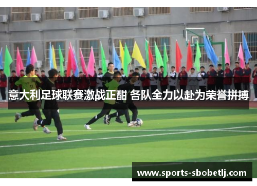 意大利足球联赛激战正酣 各队全力以赴为荣誉拼搏
