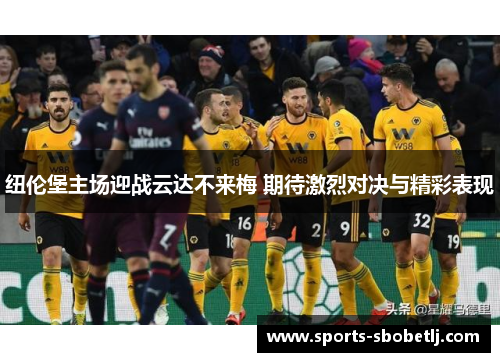 纽伦堡主场迎战云达不来梅 期待激烈对决与精彩表现