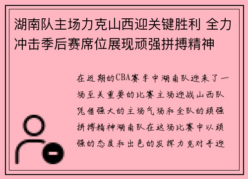 湖南队主场力克山西迎关键胜利 全力冲击季后赛席位展现顽强拼搏精神