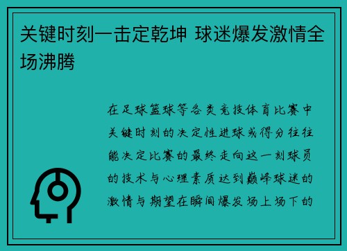 关键时刻一击定乾坤 球迷爆发激情全场沸腾