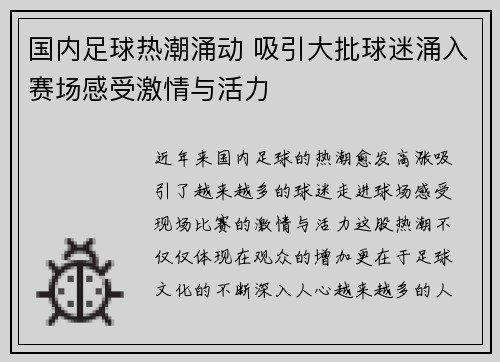 国内足球热潮涌动 吸引大批球迷涌入赛场感受激情与活力