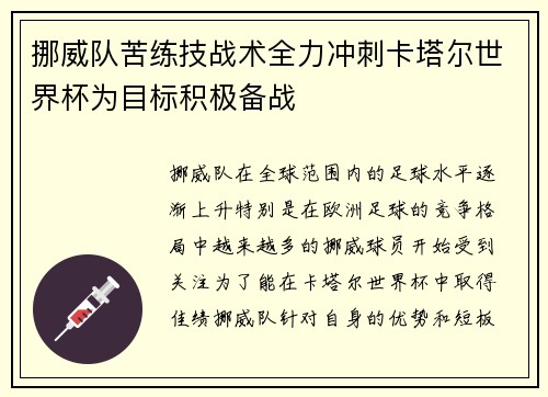 挪威队苦练技战术全力冲刺卡塔尔世界杯为目标积极备战