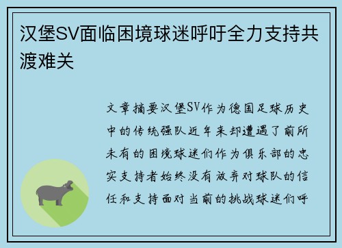 汉堡SV面临困境球迷呼吁全力支持共渡难关