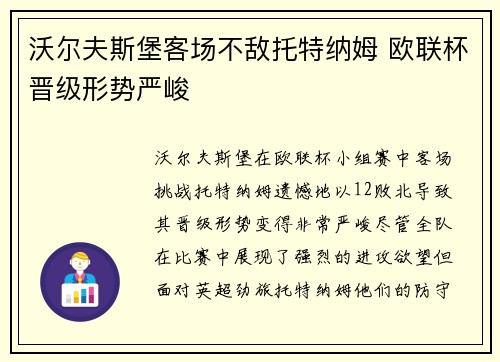 沃尔夫斯堡客场不敌托特纳姆 欧联杯晋级形势严峻