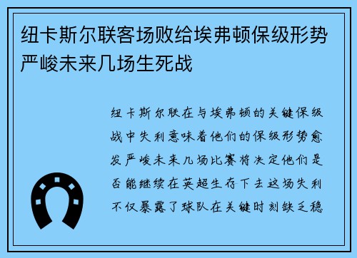 纽卡斯尔联客场败给埃弗顿保级形势严峻未来几场生死战