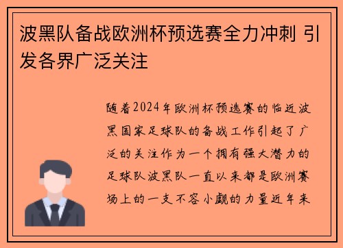 波黑队备战欧洲杯预选赛全力冲刺 引发各界广泛关注